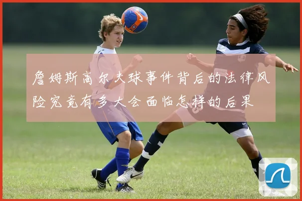詹姆斯高尔夫球事件背后的法律风险究竟有多大会面临怎样的后果